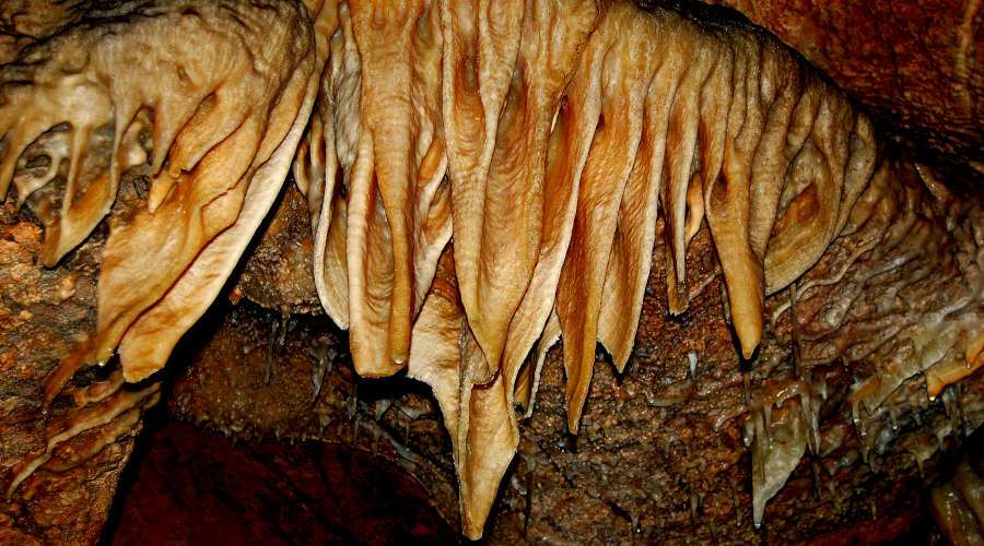 Caverna de las Brujas - Boca del Tiburon