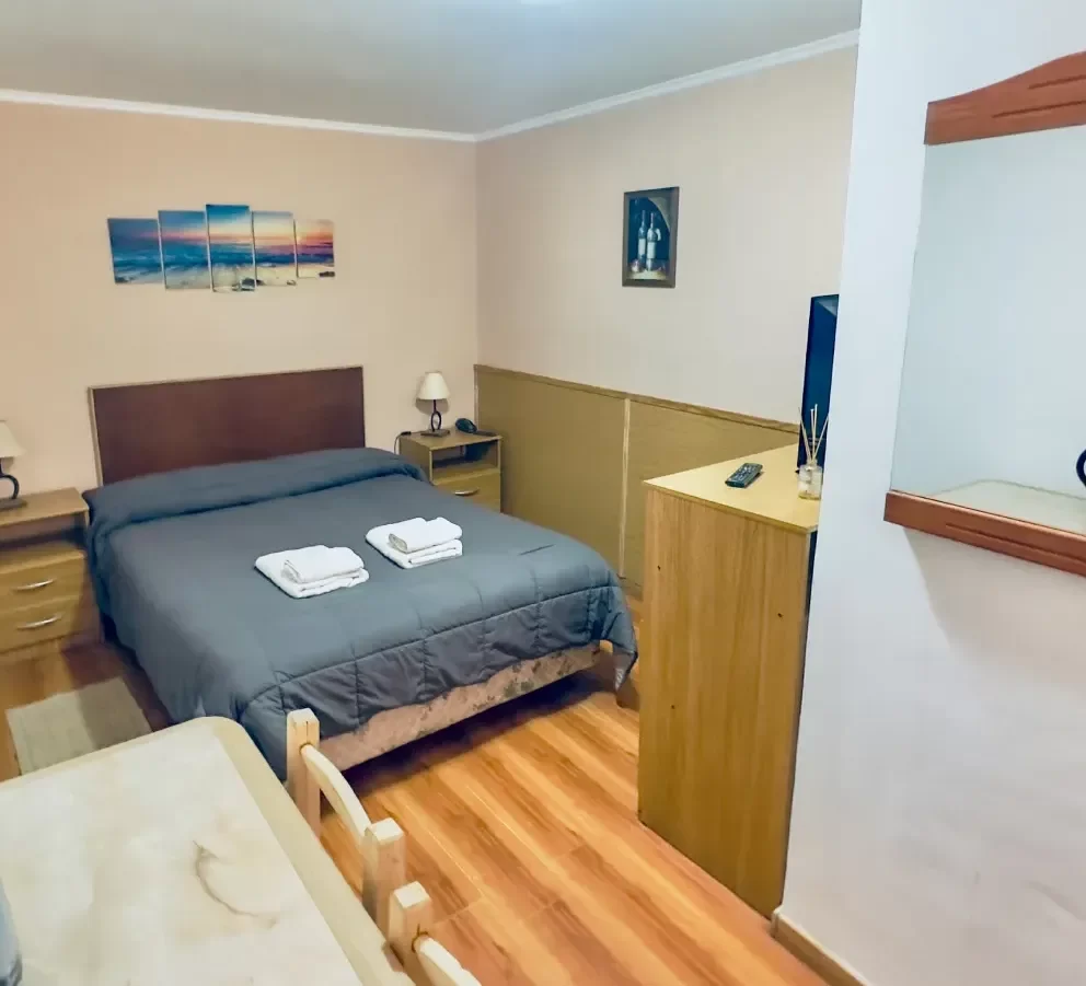 Estimados Huéspedes: Nuestro Apart Hotel en Malargüe 9 Habitacion single o doble matrimonial en centro de Malargüe, Mendoza